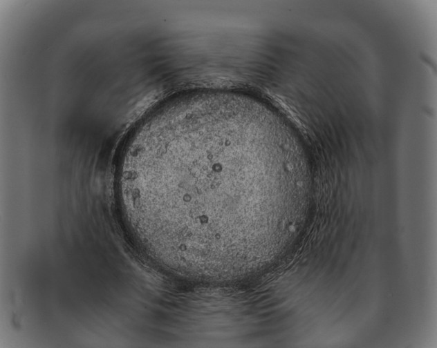 X0000091650679200709131451