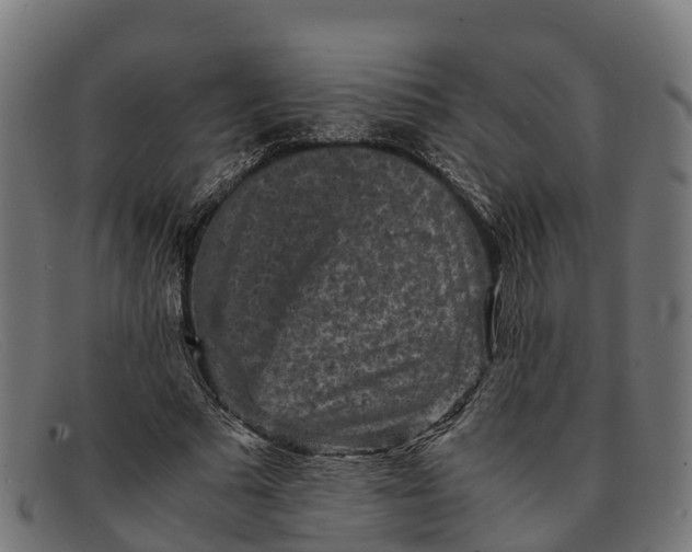 X0000091650681200709131451