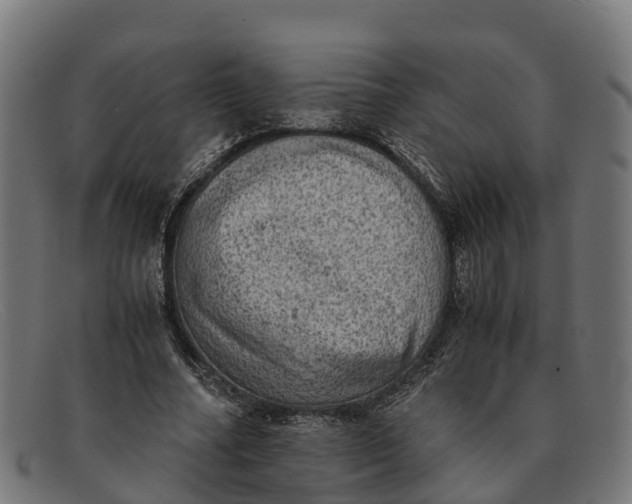 X0000091650682200709131451