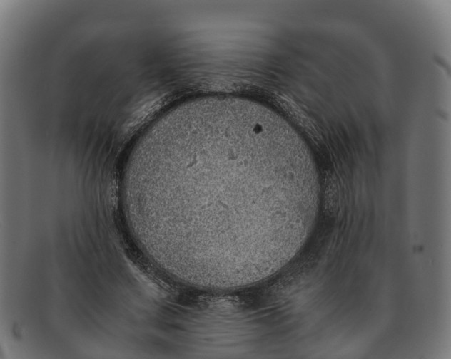 X0000091650683200709131451