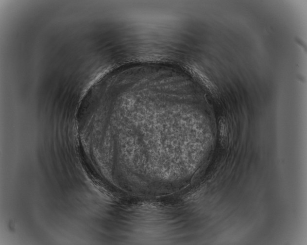 X0000091650684200709131451