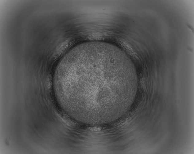 X0000091650687200709131451