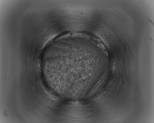 X0000091650688200709131451