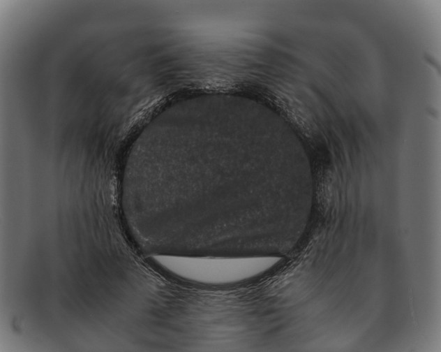 X0000091650689200709131450