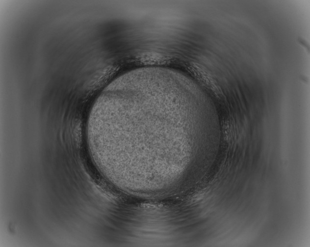 X0000091650690200709131450