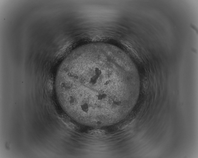 X0000091650691200709131450