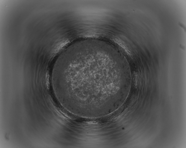 X0000091650692200709131450