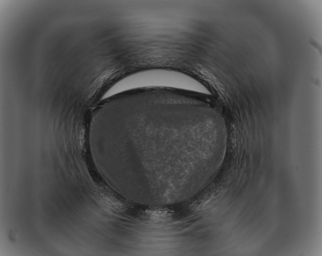 X0000091650693200709131450