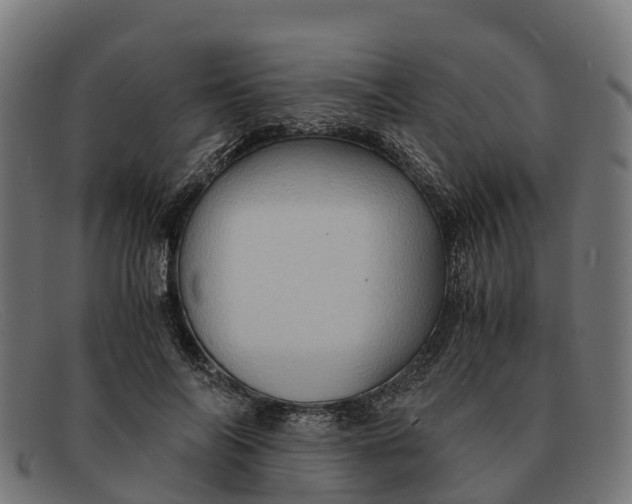 X0000091650694200709131450