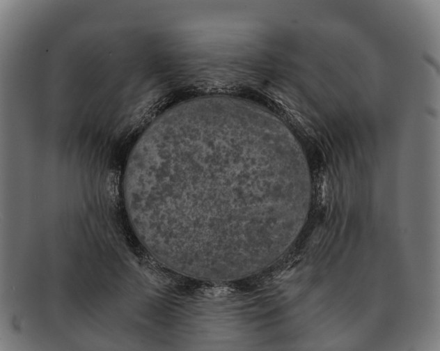 X0000091650695200709131450