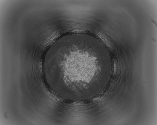 X0000091650696200709131450