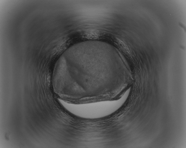 X0000091650697200709131450