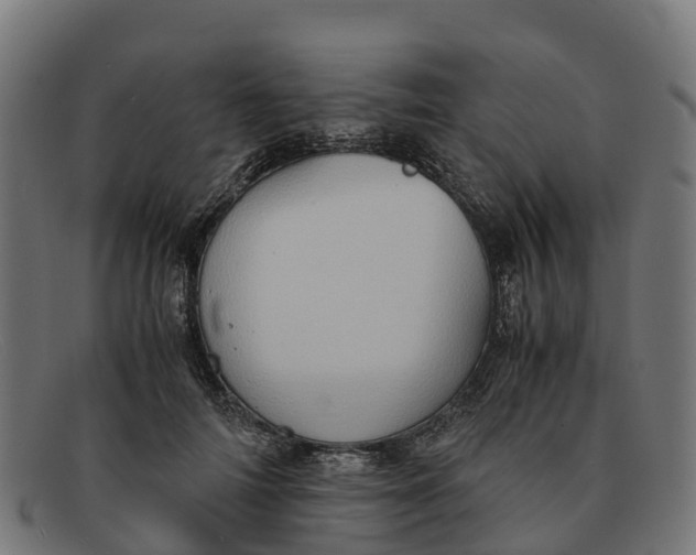 X0000091650698200709131450