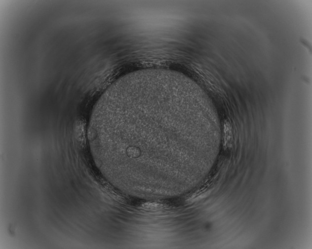 X0000091650699200709131450