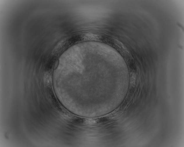 X0000091650701200709131450