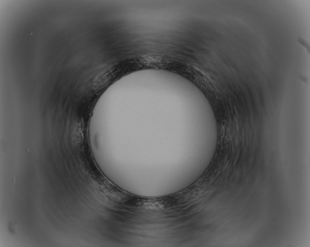 X0000091650702200709131450