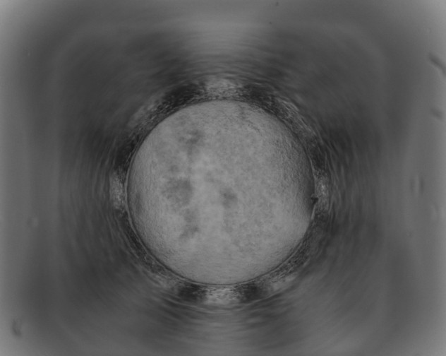 X0000091650705200709131450