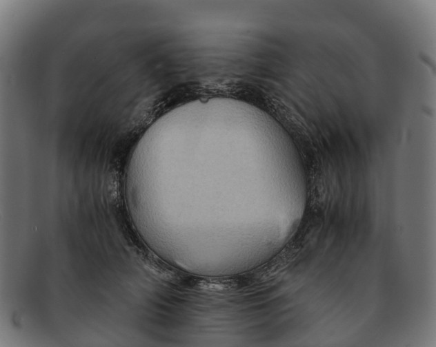 X0000091650706200709131450