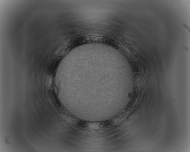 X0000091650709200709131450