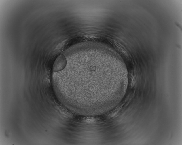 X0000091650710200709131450