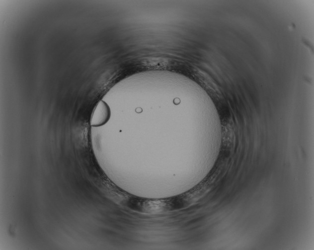 X0000091650717200709131450