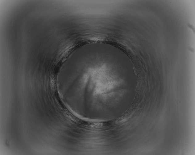 X0000091650720200709131450