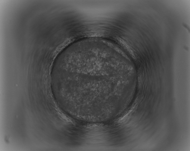 X0000091650721200709131449