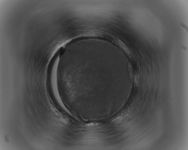 X0000091650724200709131449