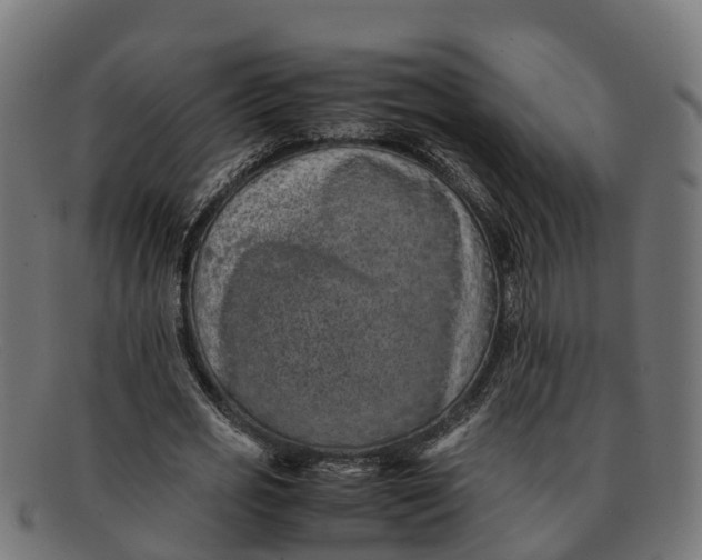 X0000091650725200709131449