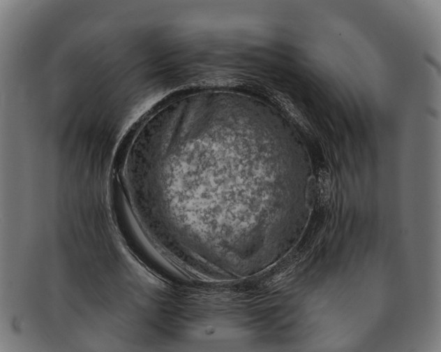 X0000091650726200709131449