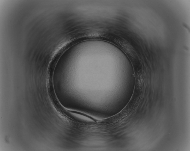 X0000091650728200709131449