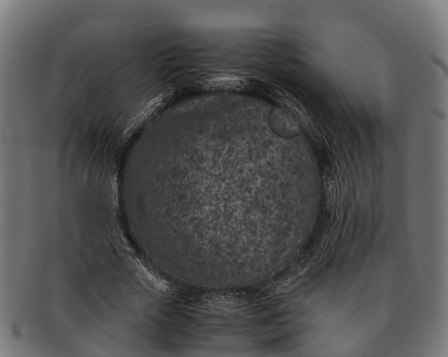 X0000091650729200709131449