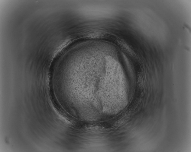 X0000091650730200709131449