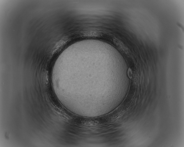 X0000091650731200709131450