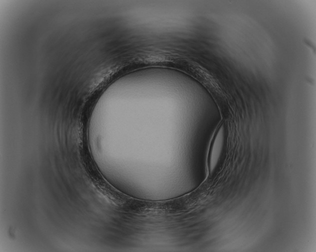 X0000091650732200709131450