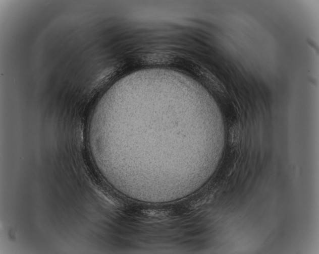 X0000091650733200709131450