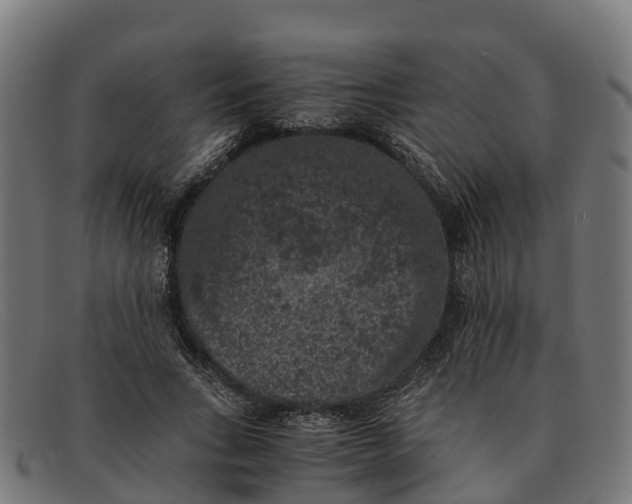 X0000091650735200709131450