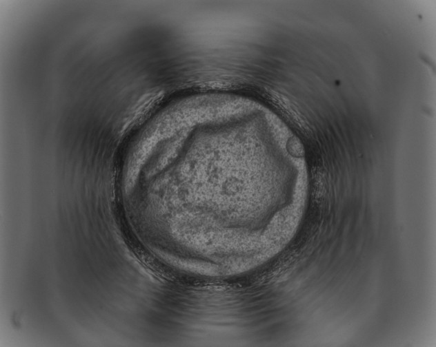 X0000091650738200709131450