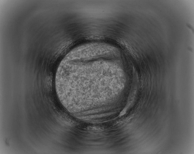 X0000091650739200709131450