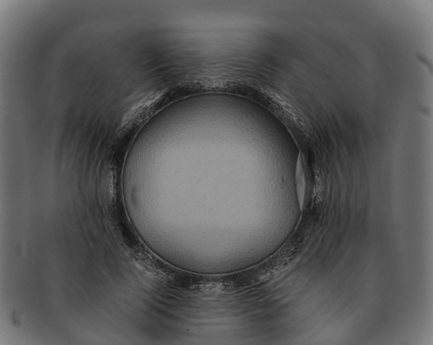 X0000091650740200709131450