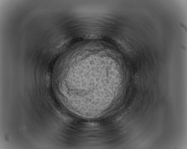 X0000091650741200709131450