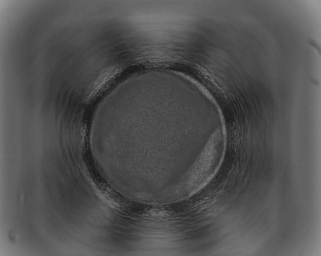 X0000091650742200709131450