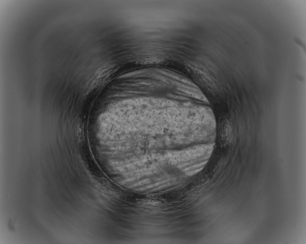 X0000091650743200709131450