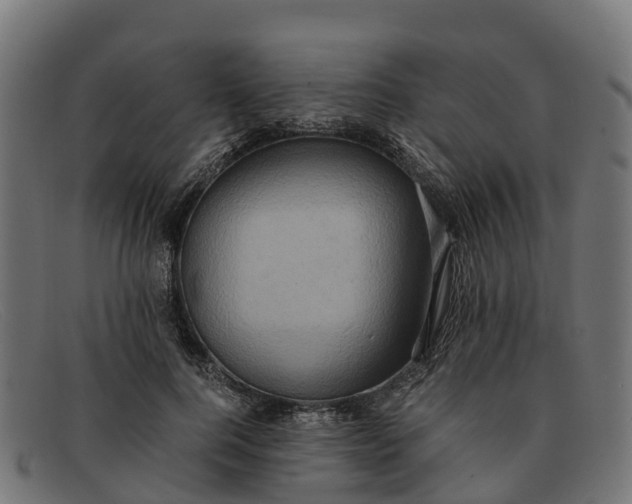 X0000091650744200709131450