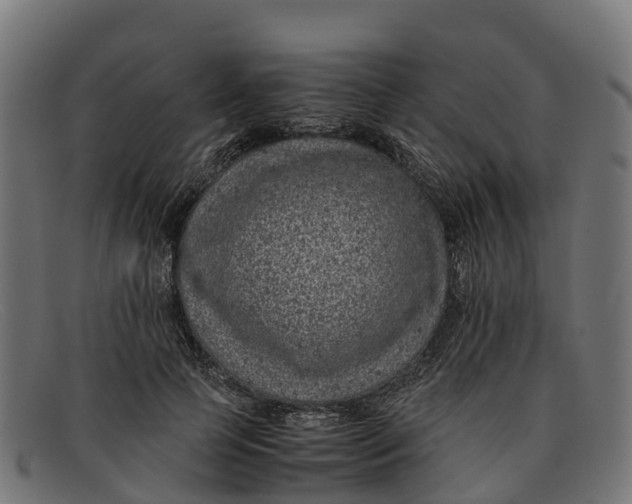 X0000091650745200709131450