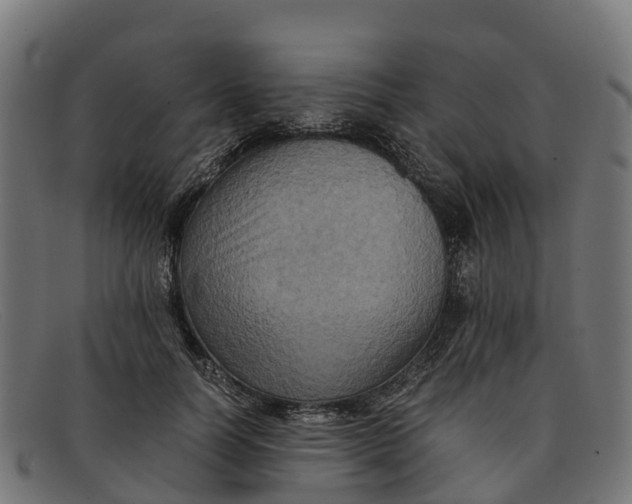 X0000091650746200709131450