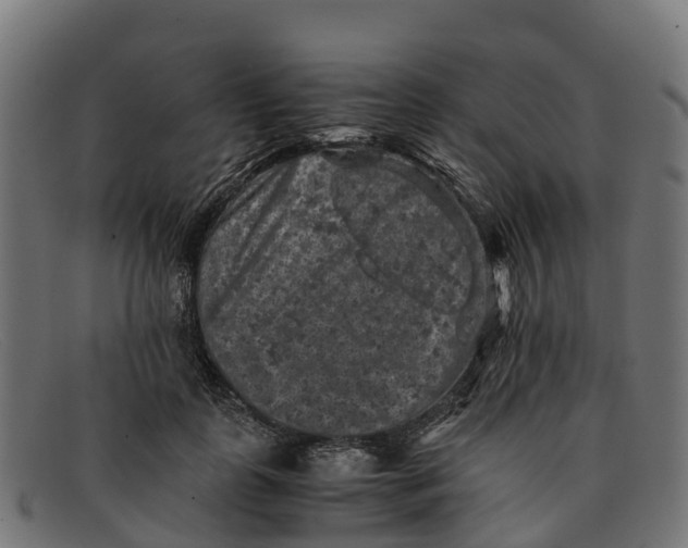 X0000091650747200709131450