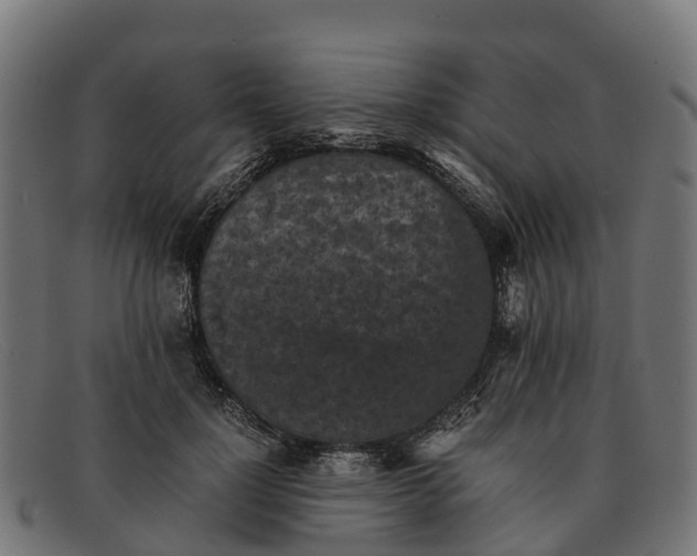 X0000091650748200709131450