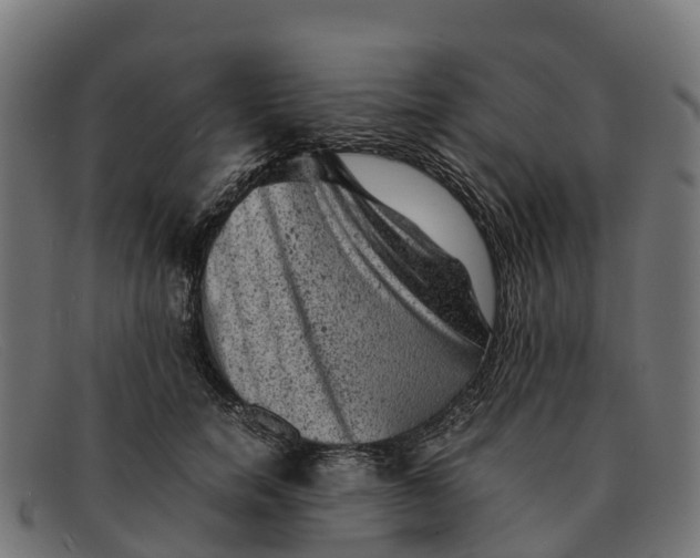 X0000091650750200709131450