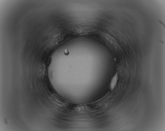 X0000091650752200709131450